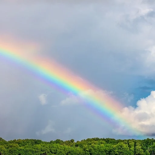 Where is the rainbow