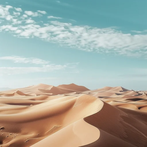 Where is the desert