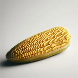 Where is the corn